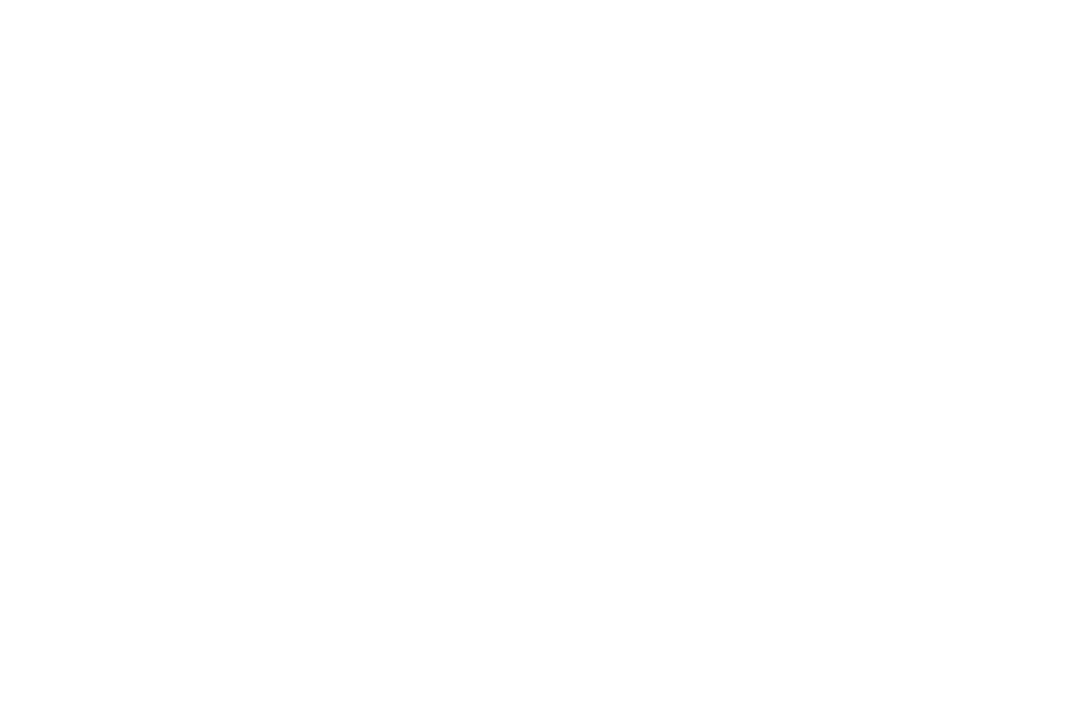 Robert Svilpa Custom Guitars